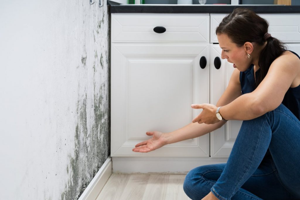 Expert Tips for Navigating Mold Damage Insurance Claims