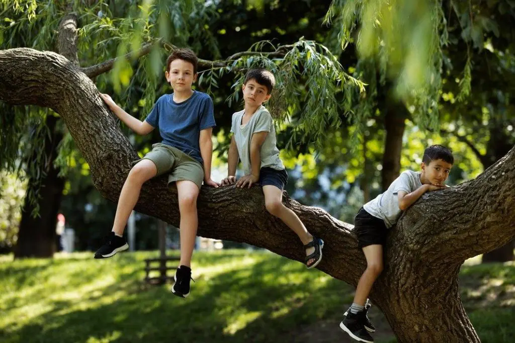 summer camp hong kong