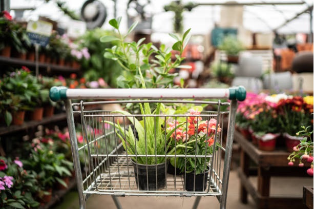 Garden Care Services